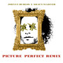 Picture Perfect (Shaun Warner Remix)