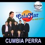 Cumbia Perra