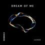 Dream Of Me