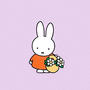 Miffy, My Dear