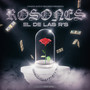 Rosones (Explicit)