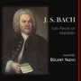 Bach Solo Pieces on Mandolin