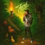Torch (Explicit)