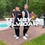 Te Voy A Olvidar (feat. Emma Pochi)