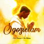 Ogozielam (feat. Vin Mokay)