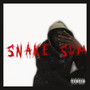 Snake Sum (Explicit)