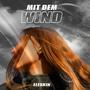 MIT DEM WIND