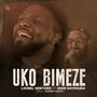 Uko Bimeze (feat. Mike Kayihura)