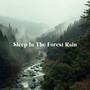 Sleep In The Forest Rain