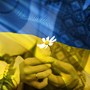 Yellow & Blue