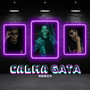 Calma Gata (Remix)