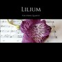 Lilium