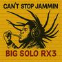 Can't Stop Jammin (Explicit)