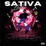 Sativa