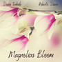 Magnolias Bloom