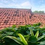 Cuman bukan teriak