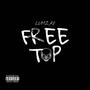 Free Top (Explicit)