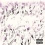P@R+Y (Explicit)