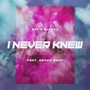 I Never Knew (feat. Dranik Souf)