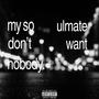 mysoulmatedontwantnobody. (feat. SPAZZZ & pave) [Explicit]