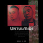 Untulmidi&忘不了