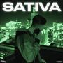 Sativa (Explicit)