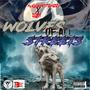 Wolves of All Streets (Explicit)