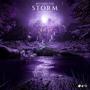 Become The Storm (feat. Sydney Grimm)
