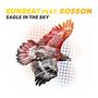 Eagle in the Sky (feat. Bosson)