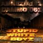 Stupid White Boyz (feat. Dammo061) [Explicit]