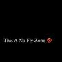 No Fly Zone (Explicit)