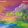 Vinegar (feat. Sedmica)