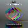 Say What? (Explicit)