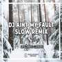 DJ Aint My Fault Slow Remix