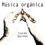 Música Orgánica