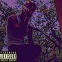 TRAPPIN ON FANDUELL (Explicit)
