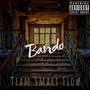 BANDO TSF