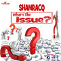 What's the Issue - Single