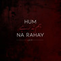 Hum Na Rahay (Lo-fi Version)