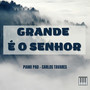 Grande É o Senhor (Instrumental)