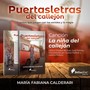 Puertasletras del Callejón: Cuentos Que Juegan Con los Sonidos y la Magia (Canción: La Niña del Callejón) [feat. Juanjo Pellicer & Helena Pellicer]