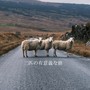 三匹の有意義な旅