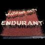 ENDURANT (Explicit)