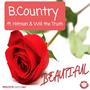 Beautiful (feat. Hitman & Will the Truth)