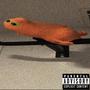 Stay Fly (Cover) [Explicit]