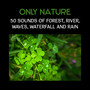 Only Nature – 50 Sounds of Forest, River, Waves, Waterfall and Rain