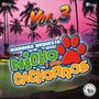 Marimba Orquesta Nicho y Sus Cachorros Vol. 3. Música de Guatemala para los Latinos