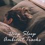 Deep Sleep Ambient Tracks