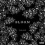 Bloom (Explicit)