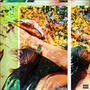 Flowers, Love, ***** (Digital Deluxe) [Explicit]